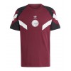 Camiseta AJAX Special Edition 2024-25